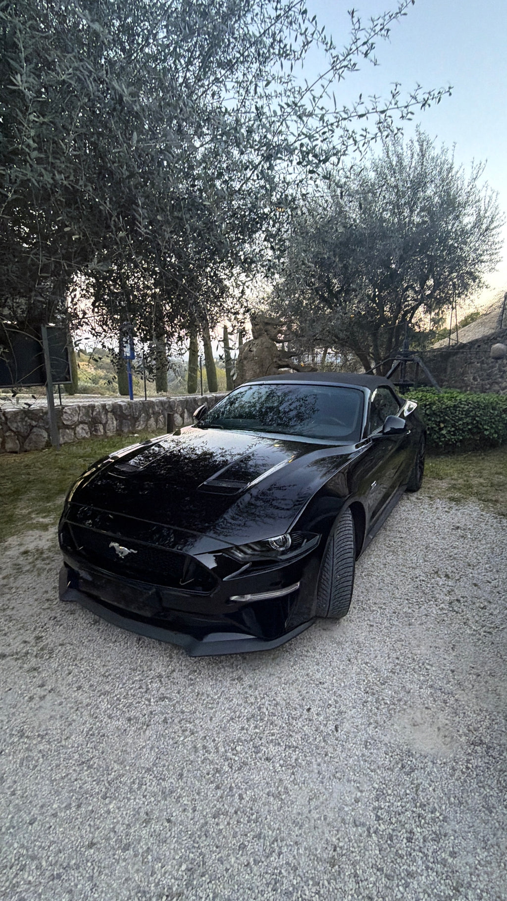 Mustang V8 360€/jour