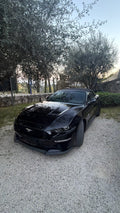 Mustang V8 360€/jour