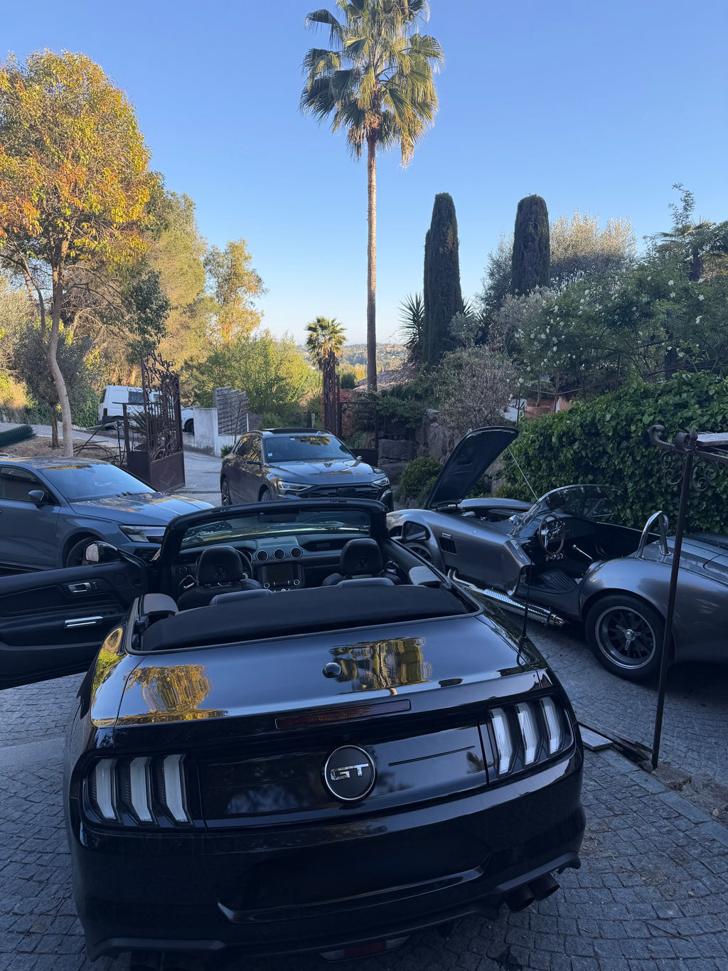 Mustang V8 360€/jour
